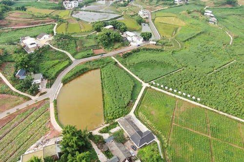 厲害了 宜賓這個縣被全國點名表揚 快看是你家鄉嗎