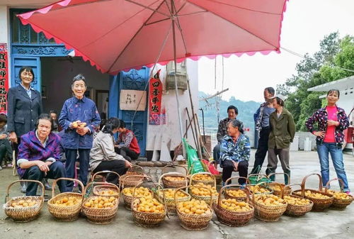 線上 線下多渠道助銷 黃山旅游 公益助農顯擔當
