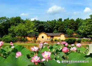 鄉村旅游 農業 旅游 融合發展而衍生出的項目類型有這些