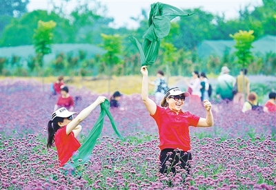 邁向高質(zhì)量旅游,景區(qū)如何破題?