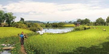 城 啟丨如何從 景點旅游 走向 全域發展 貴安櫻花園的全域理念