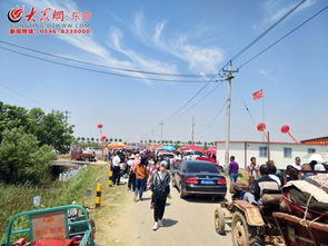 發(fā)展綠色生態(tài)農(nóng)業(yè) 推進(jìn)鄉(xiāng)村旅游發(fā)展 陳莊鎮(zhèn)第五屆臨合蜜采摘節(jié)活動盛大開幕