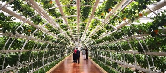 30種休閑農(nóng)業(yè)開發(fā)模式大集錦