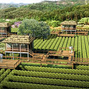 江西宜春天心茶園旅游綜合開發(fā)項目 - 北京東方創(chuàng)美旅游景觀規(guī)劃設(shè)計院-旅游地產(chǎn)、農(nóng)業(yè)旅游、古城古鎮(zhèn)、文化產(chǎn)業(yè)