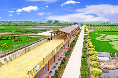 【我們的&ldquo;金飯碗&rdquo;②】四十里店村:魚米之鄉(xiāng)新時尚