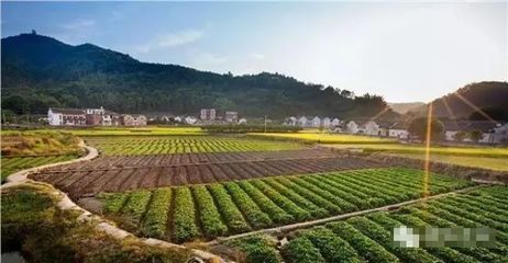 農(nóng)村最賺錢的項目出爐,一大批人要富得流油了!