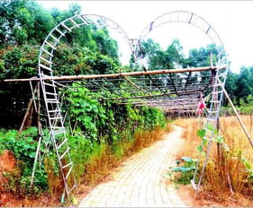 有吃有玩 帶你走進貴港這5個自治區(qū)休閑農(nóng)業(yè)與鄉(xiāng)村旅游示范點