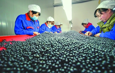 綏化譜寫全面振興發(fā)展新篇章