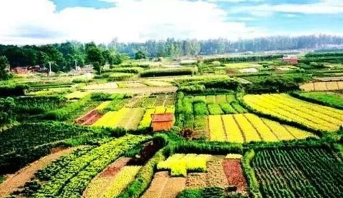 國(guó)家級(jí)田園綜合體的十大開(kāi)發(fā)模式 農(nóng)業(yè)與旅游業(yè)結(jié)合