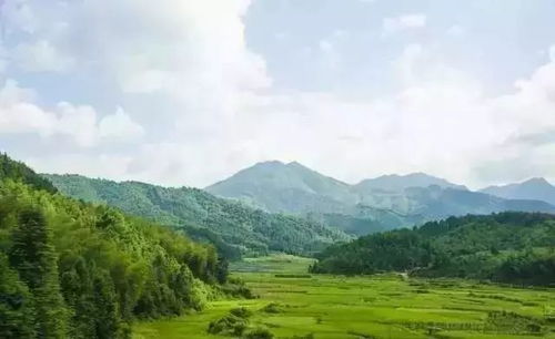 如何發展茶產業 旅游產業