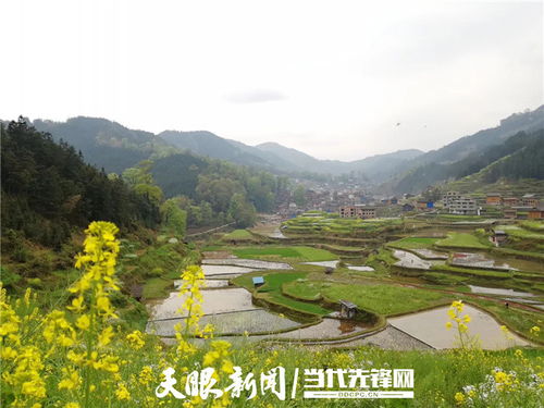 走出生態優先綠色發展新路子 貴州堅定不移推動長江經濟帶高質量發展 三