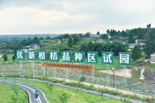 聚焦成渝地區雙城經濟圈 崛起的資陽