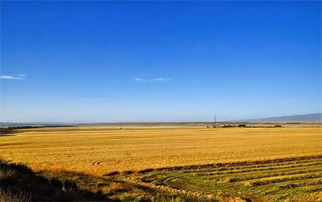 還說我國農(nóng)藥殘留監(jiān)管不如國外 現(xiàn)已超過國際食品法典 雞蛋價(jià)格啥時(shí)候 蛋定 專家 節(jié)前沖高,節(jié)后回調(diào) 中科協(xié)揭秘8月 科學(xué)流言