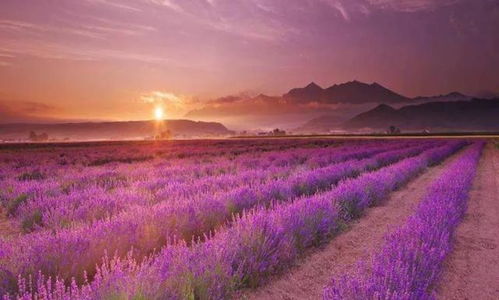 農(nóng)莊變身休閑農(nóng)業(yè)旅游景區(qū)該這么做