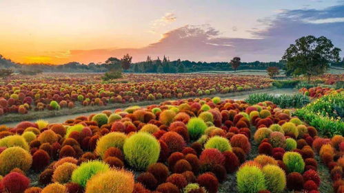 美麗中國 上海篇丨讓綠色成為最動人底色最溫暖亮色