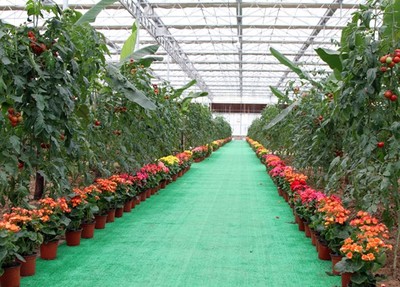 阿壩職業學院熱門專業簡介