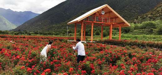 工布花開助脫貧 農(nóng)業(yè)旅游開發(fā)的創(chuàng)新實踐