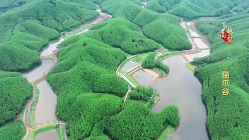 2020年度省級休閑農(nóng)業(yè)與鄉(xiāng)村旅游示范鎮(zhèn)示范點公示 高要兩處上榜，助推農(nóng)業(yè)旅游開發(fā)