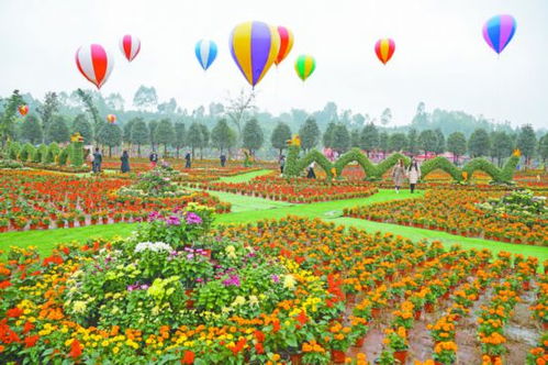 擦亮“銀岳池”金字招牌 探索農(nóng)業(yè)旅游開發(fā)新路徑