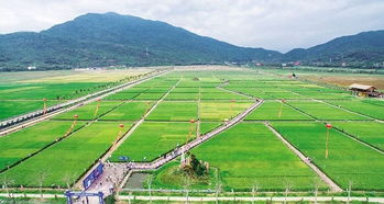 從濱海漁村到國際灣區(qū) 海南九年蛻變之路與農(nóng)業(yè)旅游新篇