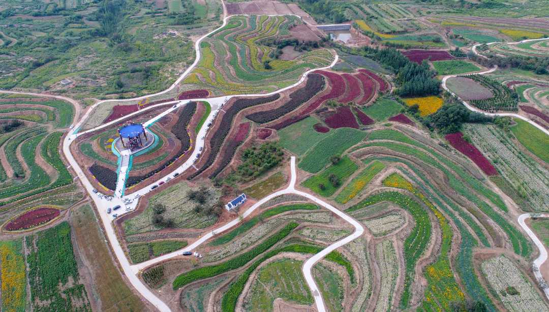 第六屆京津冀中藥材產業發展大會暨扁鵲文化節在河北內丘啟幕，助推農業旅游深度融合