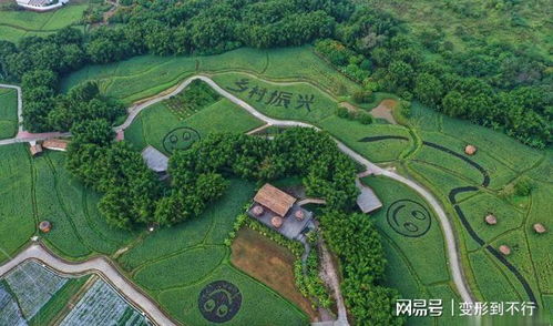 點贊！廣州從化四個特色小鎮擬納入省級培育庫，農業旅游開發譜寫新篇