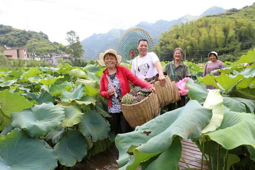 請人民閱卷丨村頭鎮 瞄準新方位，扛起新使命，全面開啟農旅融合新篇章
